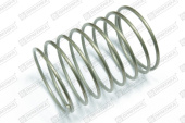 Пружина Professional Spares 359742