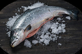 Как выбрать качественную рыбу? Интервью с шеф-поваром "#Fishbazaar".