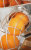 15780_1 15780_1