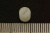 54855_2 54855_2