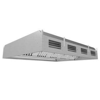 31561