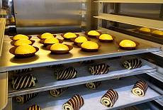 ПИР 2022. Фотоотчет с выставки. 