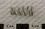 54430_1 54430_1