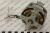 52642_2 52642_2