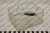 54676_3 54676_3